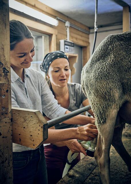 Paula Bründl und Elisabeth Hödlmoser in ihrer Schafskäsemanufaktur Hubmühle | Foto: Mirco Taliercio / Servus Magazin