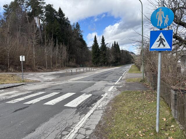 Ab Hausnummer 80 gibt es auf der St.-Martiner-Straße statt einem Gehsteig eine "Gassi-Wiese". | Foto: MeinBezirk.at