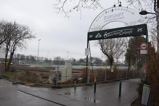 Foto: Patricia Hillinger/MeinBezirk