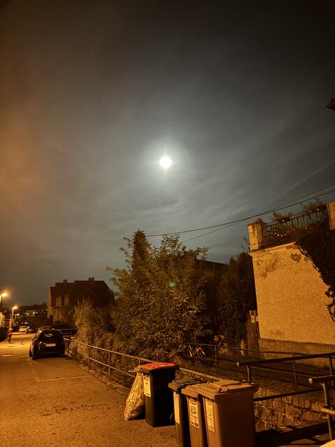 Romantische Abendstimmung mit Mülltonnen. | Foto: sg
