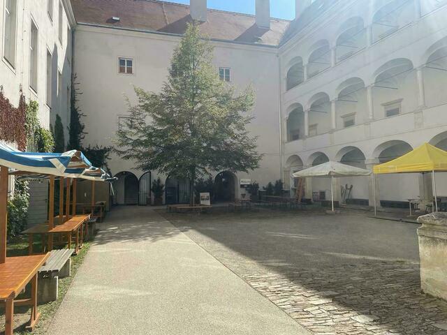 Die Pop-up-Galerie ist ein Ausstellungsraum im Kunsthaus Horn. Es handelt sich dabei um ein Projekt der Kulturvernetzung Niederösterreich GmbH.  | Foto: Danzinger (Archiv)