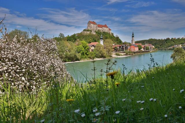 Ein Burghausen-Ausflug im Frühling ist farbenfroh. | Foto: Burghauser Touristik
