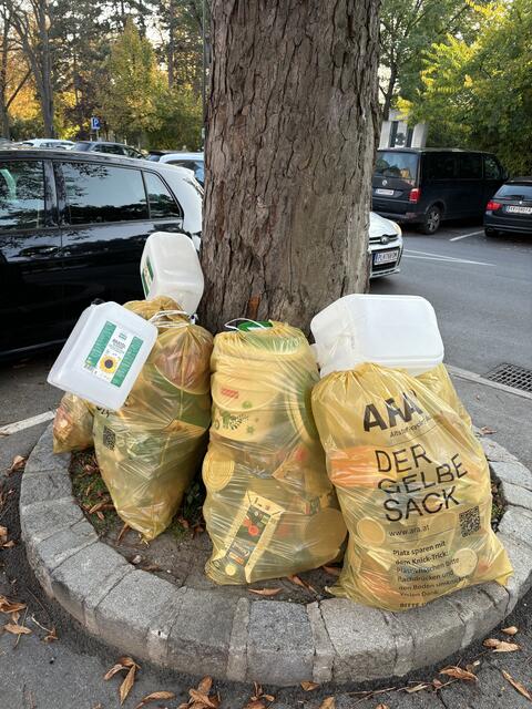 Der Bezirk Krems ist Spitzenreiter in der Abfalltrennung | Foto: sg