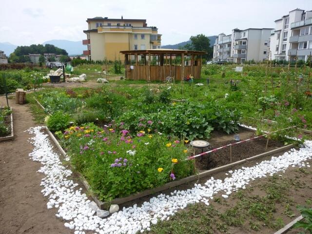 Im Frühsommer blüht und gedeiht es im Franz-von-Sales-Garten wunderschön vor sich hin. | Foto: Privat