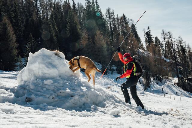 Die jährliche Fortbildung für die Lawinen- und Suchhundestaffel der Bergrettung fand heuer in der Innerkrems statt. | Foto: Bergrettung Kärnten/Daniel Gollner