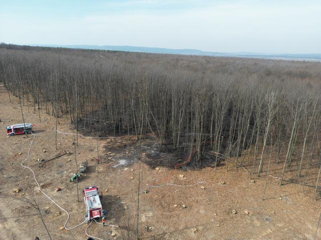 Der Brand hatte sich bereits auf eine Fläche von etwa 1 bis 1,5 Hektar ausgebreitet. | Foto: FF Deutschkreutz-Girm.