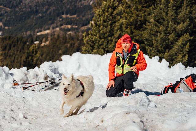 Junghunde werden langsam und spielerisch an die Sucharbeit herangeführt. | Foto: Bergrettung Kärnten/Daniel Gollner