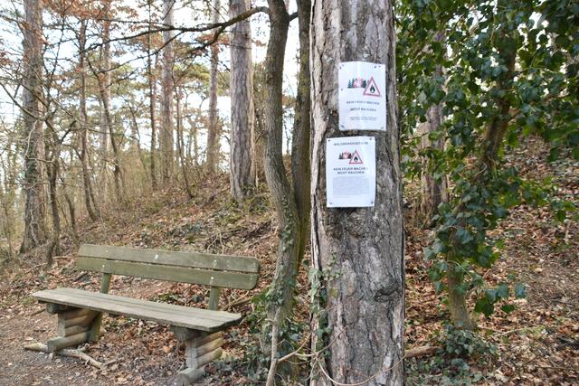 Die Waldbrandverordnung verbietet Feuer und Rauchen im Wald. | Foto: Preineder