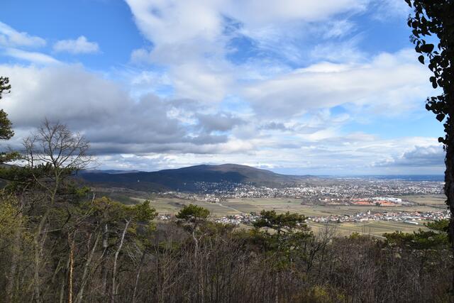 Der Pfaffstättner Kogl ist gefährdetes Gebiet. | Foto: Preineder