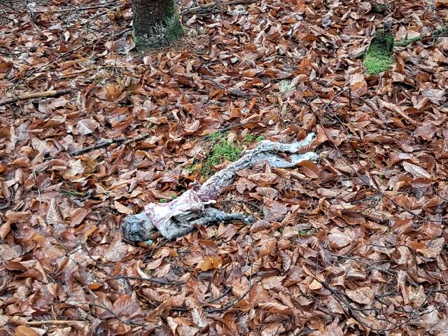 Auch der Tod gehört zum Leben.