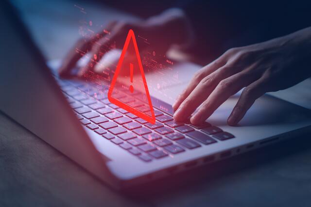 18-Jährige wurde Opfer eines Internetbetrugs. (Symbolfoto) | Foto: stock.adobe.com/at/Pungu x