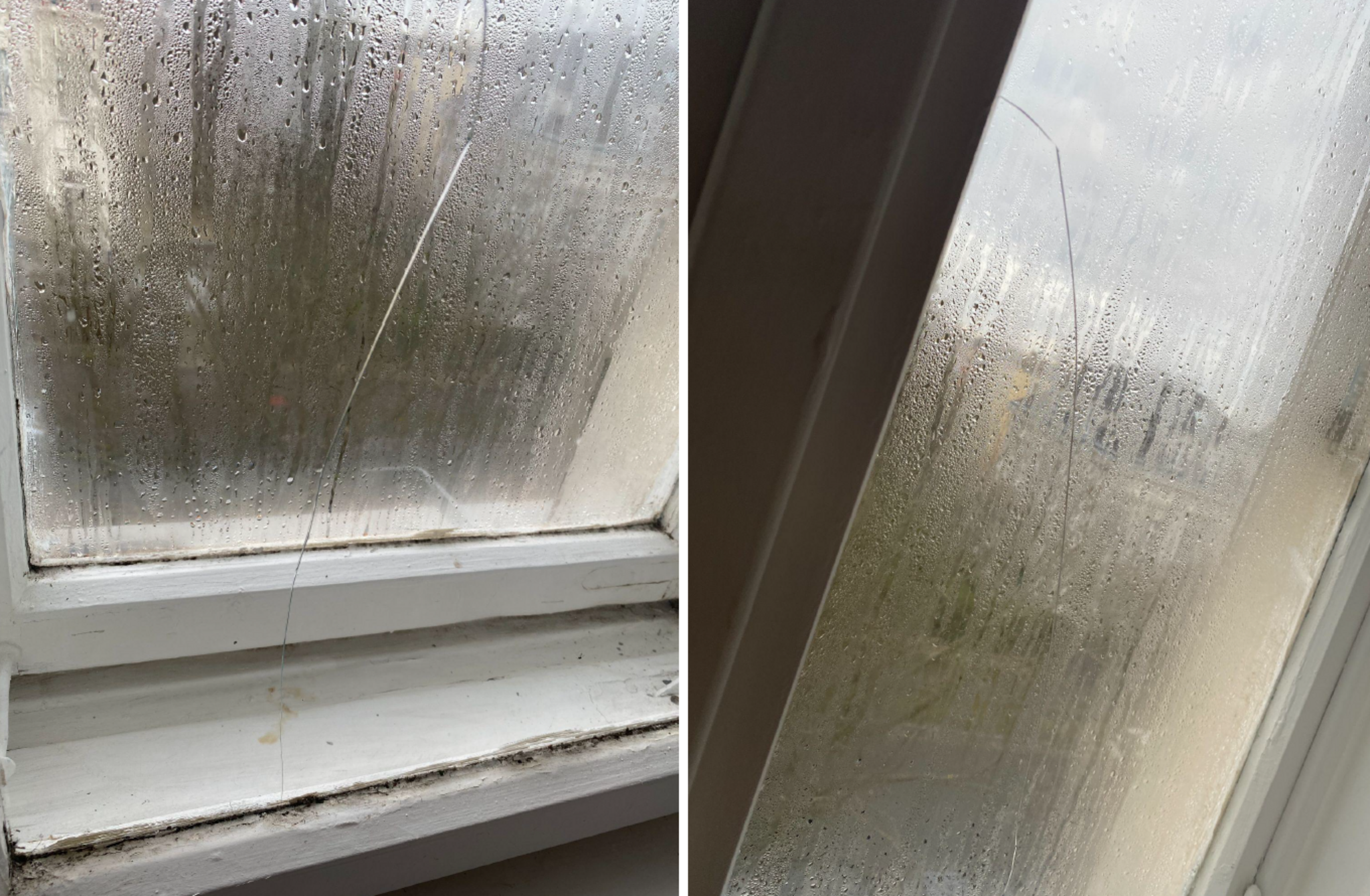 Mold in municipal housing: Wiener Wohnen refuses to replace windows - | ...
