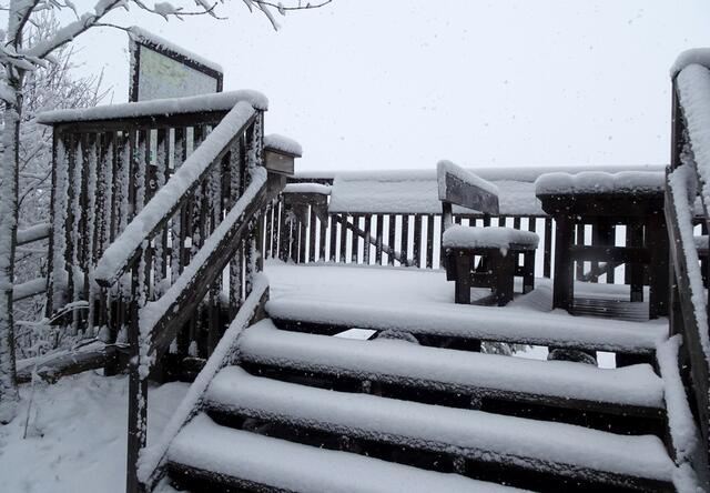 Aufstieg zur Aussichtsplattform