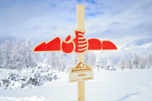 Foto: Daniel Hinterramskogler