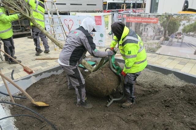 Foto: Patricia Hillinger/MeinBezirk