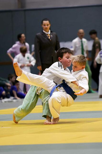 In der ersten Runde des Berger Nachwuchscup 2025 traten insgesamt 287 Judoka aus 27 Vereinen an. | Foto: Judounion Klosterneuburg/Andreas Schiffleitner