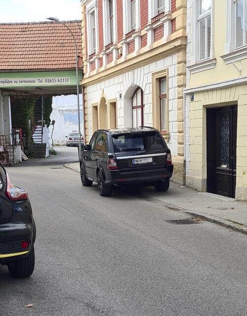 Kunstparker in der Stockhammergasse in der Bezirkshauptstadt. | Foto: Name d. Fotografen d. Red. bekannt