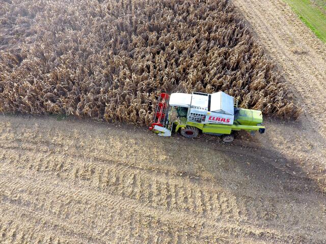 Über 120 Steirerkraft-Vertragslandwirte bearbeiten mehr als 520 Hektar Käferbohnen-Anbaufläche. Rund 90 Prozent der gesamten österreichischen Käferbohnenproduktion kommen aus der Steiermark. | Foto: Alwera/Steirerkraft