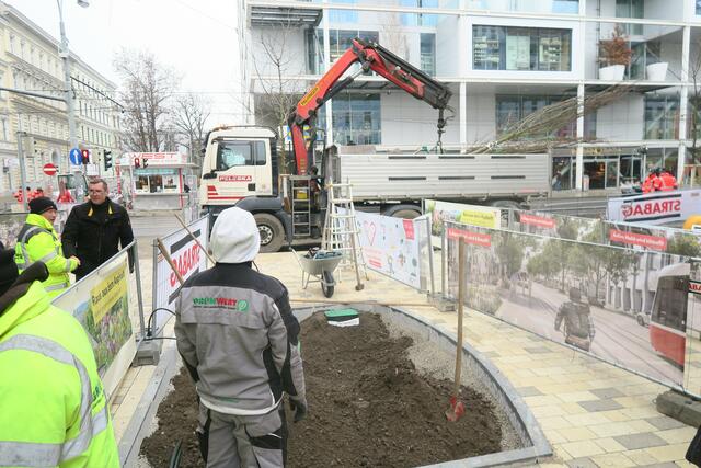 Foto: Patricia Hillinger/MeinBezirk