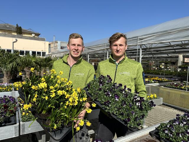 (V.l.:) Michael und Martin Dopetsberger von der gleichnamigen Welser Gärtnerei haben tolle Tipps für den richtigen Start in die kommende Gartensaison. | Foto: MeinBezirk