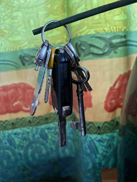 Dem 26-jährigen rumänischen Lenker wurde der Führerschein vorläufig abgenommen. | Foto: hs