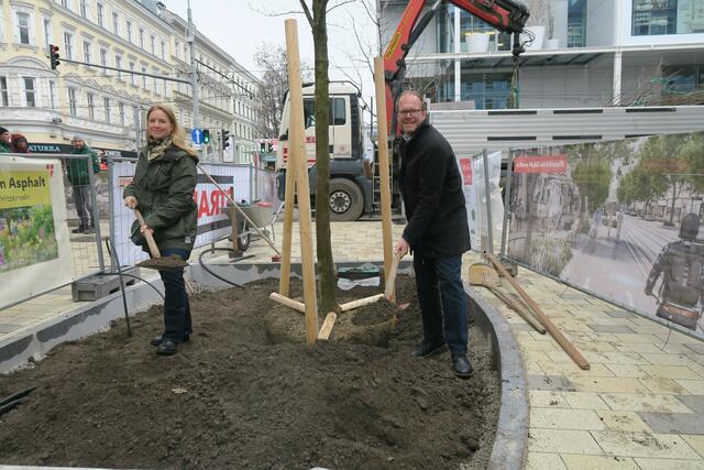 Foto: Patricia Hillinger/MeinBezirk