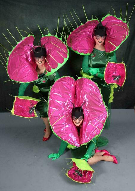 Platz 2: Venusfliegenfallen | Foto: Graf