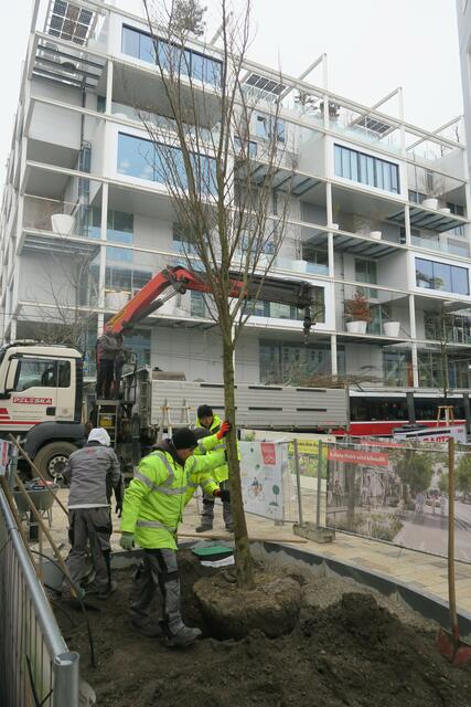 Foto: Patricia Hillinger/MeinBezirk