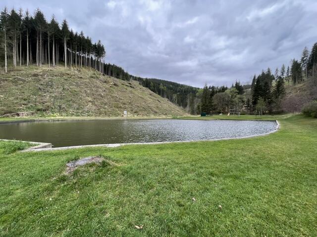 Der Badeteich in Micheldorf ist für Einwohner und Gäste ein Naturjuwel. | Foto: MeinBezirk