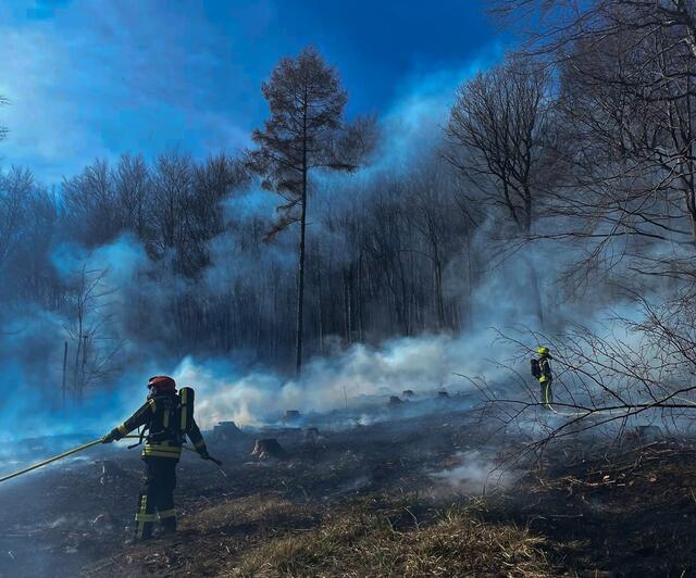Seit dem letzten Hochwasser im September gab es kaum Regen, wodurch Waldböden austrocknen und sich leicht entzünden können. Laut Waldbrandverordnung sind besonders jene Gebiete gefährdet, in denen die Bodendecke oder Windverhältnisse die schnelle Ausbreitung eines Feuers begünstigen. | Foto: FF Mauerbach
