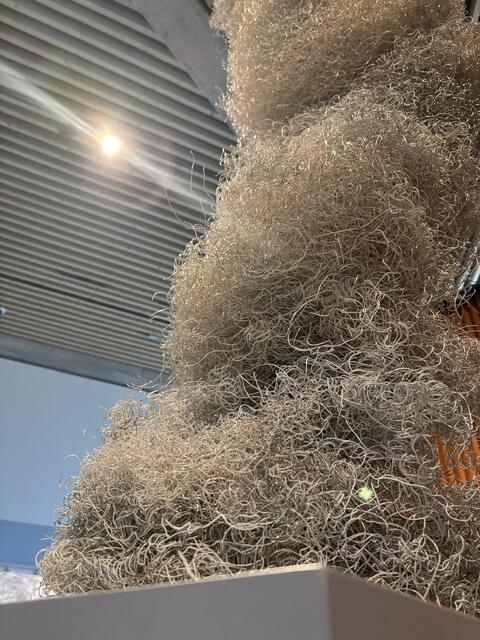 Skulptur aus Kalender-Spiralen | Foto: Lauren Seywald / MeinBezirk