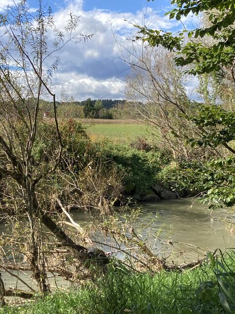 Immer mehr Versiegelung kann nicht der Weisheit letzter Schluss sein. Der Mensch braucht Natur!