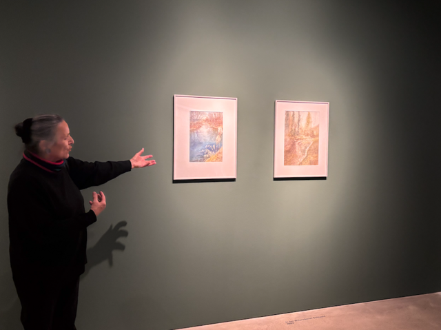 Die Künstlerin Hannelore Henning führte durch ihre Ausstellung „fließen“, die bis zum 27. April im Taxis Palais zu sehen ist.  | Foto: Meinbezirk/mo