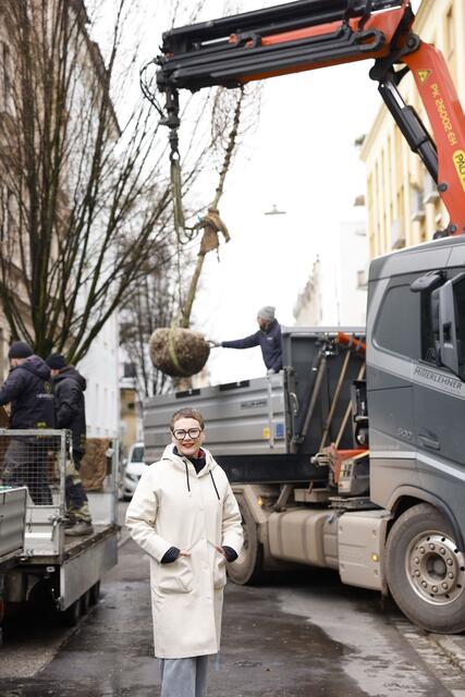 Die Baumpflanzoffensive geht diese Woche in der Bürgerstraße weiter. 14 neue Bäume sollen dort zukünftig Schatten spenden. | Foto: Stadt Linz