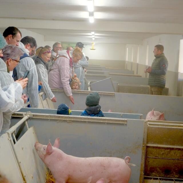 Interessierte konnten den Betrieb besuchen und bekamen direkte Einblicke in die Schweinehaltung und Direktvermarktung.  | Foto: Junge Landwirtschaft