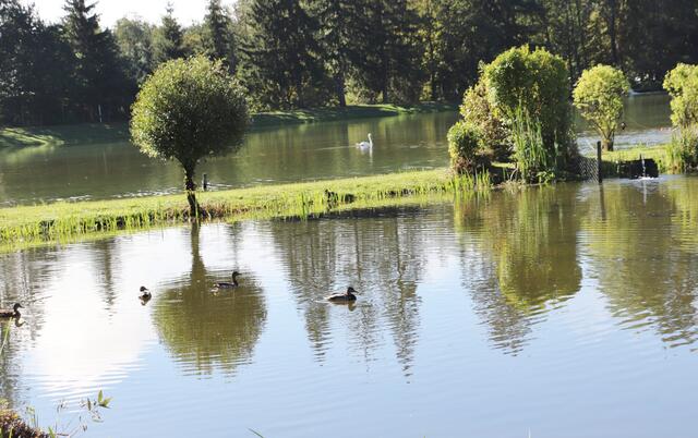 Vom Parkplatz Wundschuher Teiche führt die Wanderung zum Waldteufelkreuz im Kaiserwald. | Foto: Edith Ertl