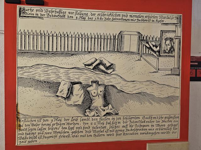 Foto: Tamara Winterthaler