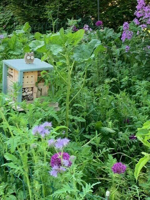 Gartenimpressionen | Foto: Karin Matejowics