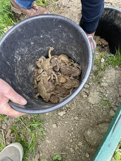 Foto: Victoria Edlinger