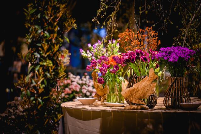 Farbenvielfalt in Wels: Die Messe „Blühendes Österreich“ geht im April über die Bühne. | Foto: Messe Wels
