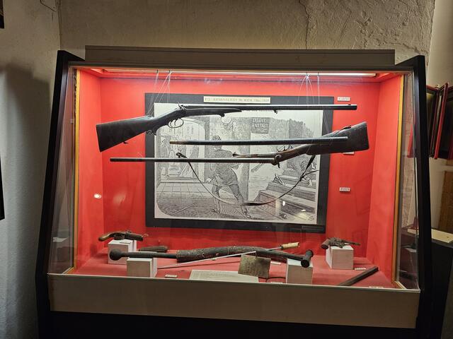 Foto: Tamara Winterthaler