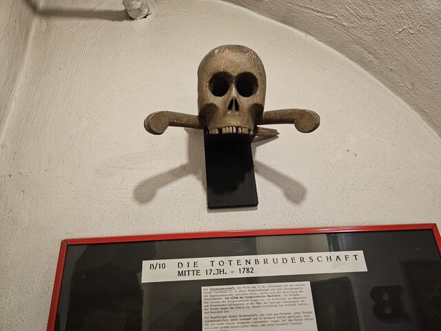 Foto: Tamara Winterthaler