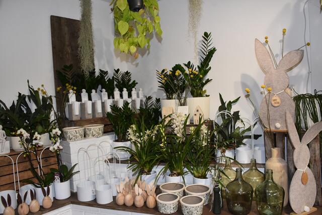 Foto: Robert Zinterhof