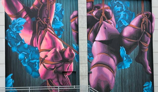 Eines von vielen Kunstwerken in der Mural Harbor Gallery, im Hafen von Linz. | Foto: Patrice Bruvier