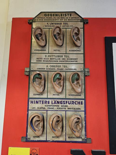 Foto: Tamara Winterthaler