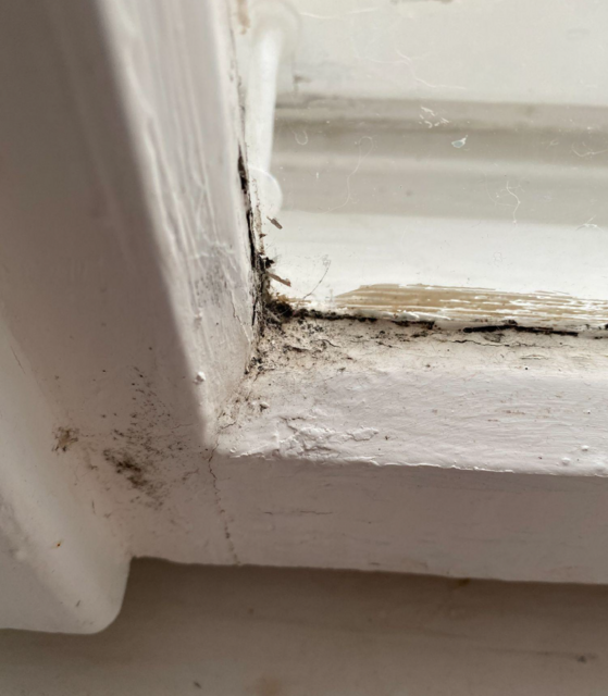 In der Währinger Wohnung bildet sich Schimmel. Schuld sollen die alten Fenster sein, die undicht sind.  | Foto: privat