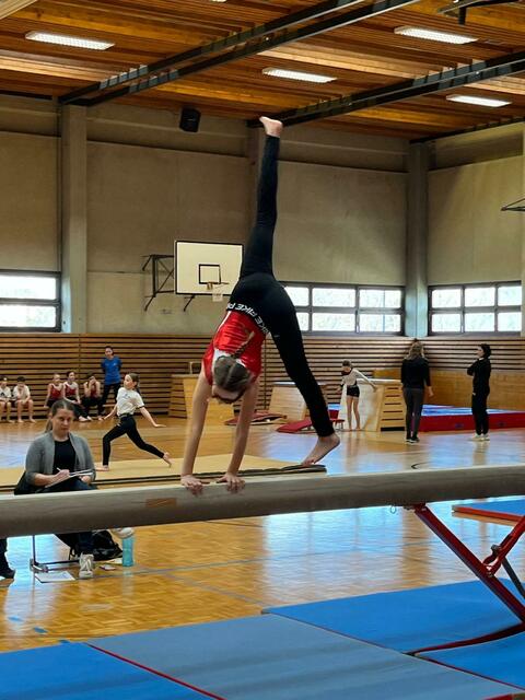 Foto: Gymnasium Mattersburg