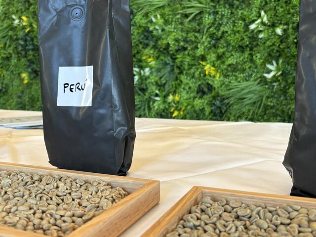 Foto: Simon Haslauer