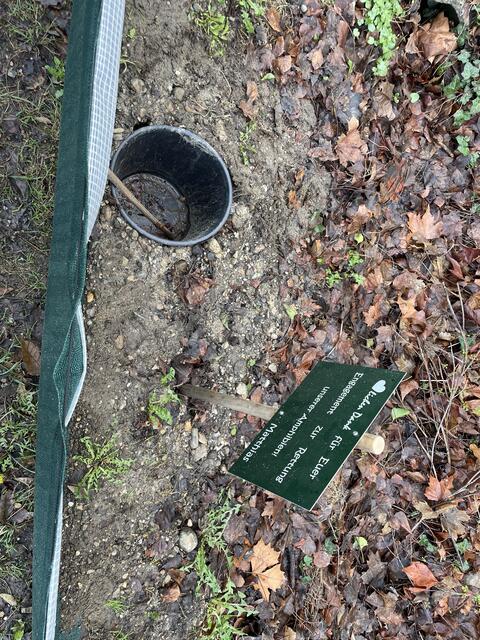 Foto: Victoria Edlinger