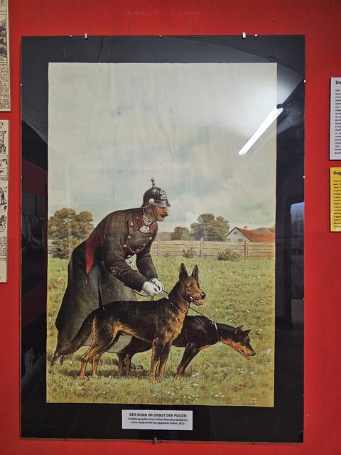 Foto: Tamara Winterthaler